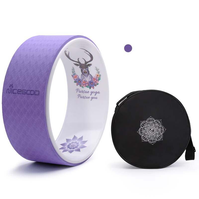 Beginner Yoga Pilates Ring Set
