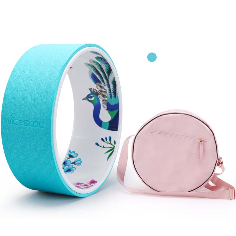 Beginner Yoga Pilates Ring Set
