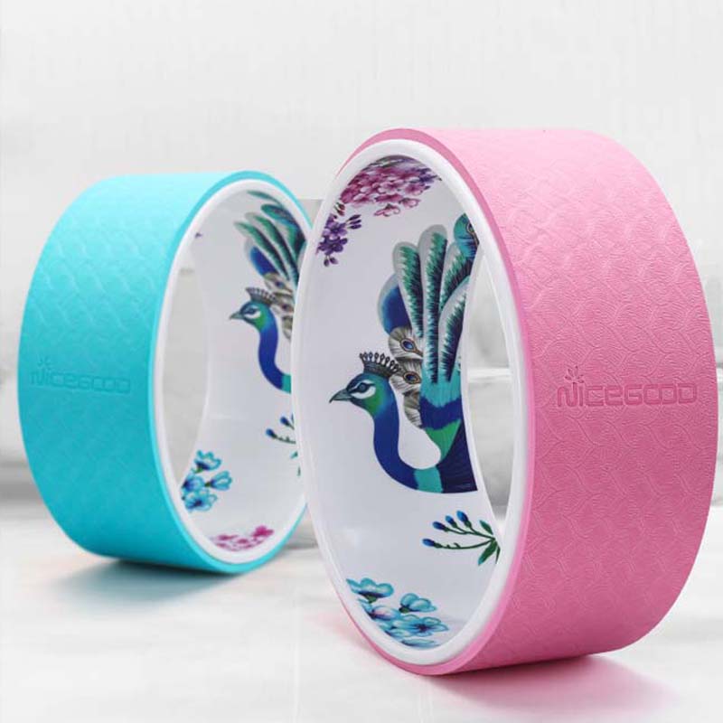 Beginner Yoga Pilates Ring Set