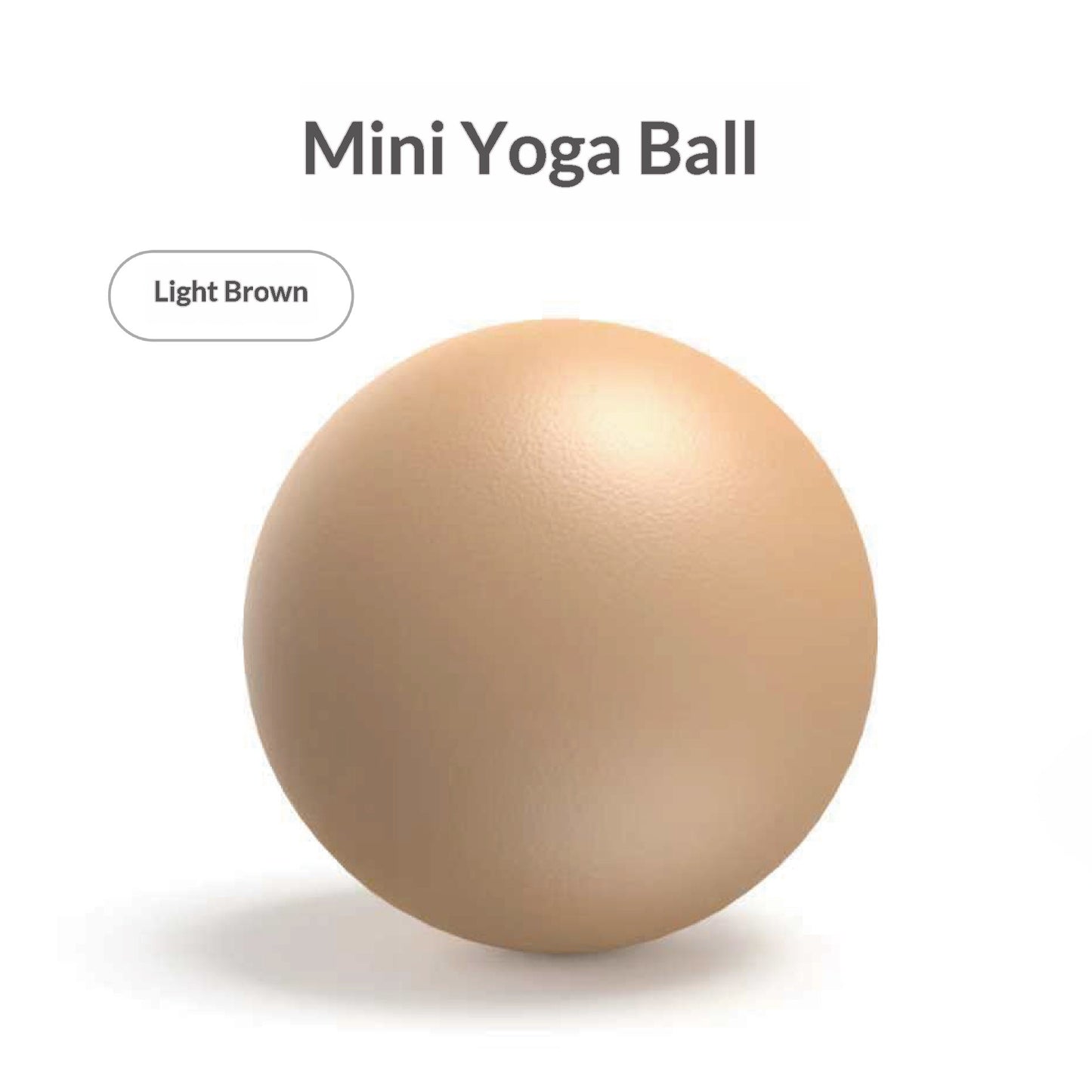 Pilates Mini Exercise Ball 25cm