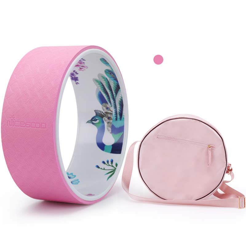Beginner Yoga Pilates Ring Set