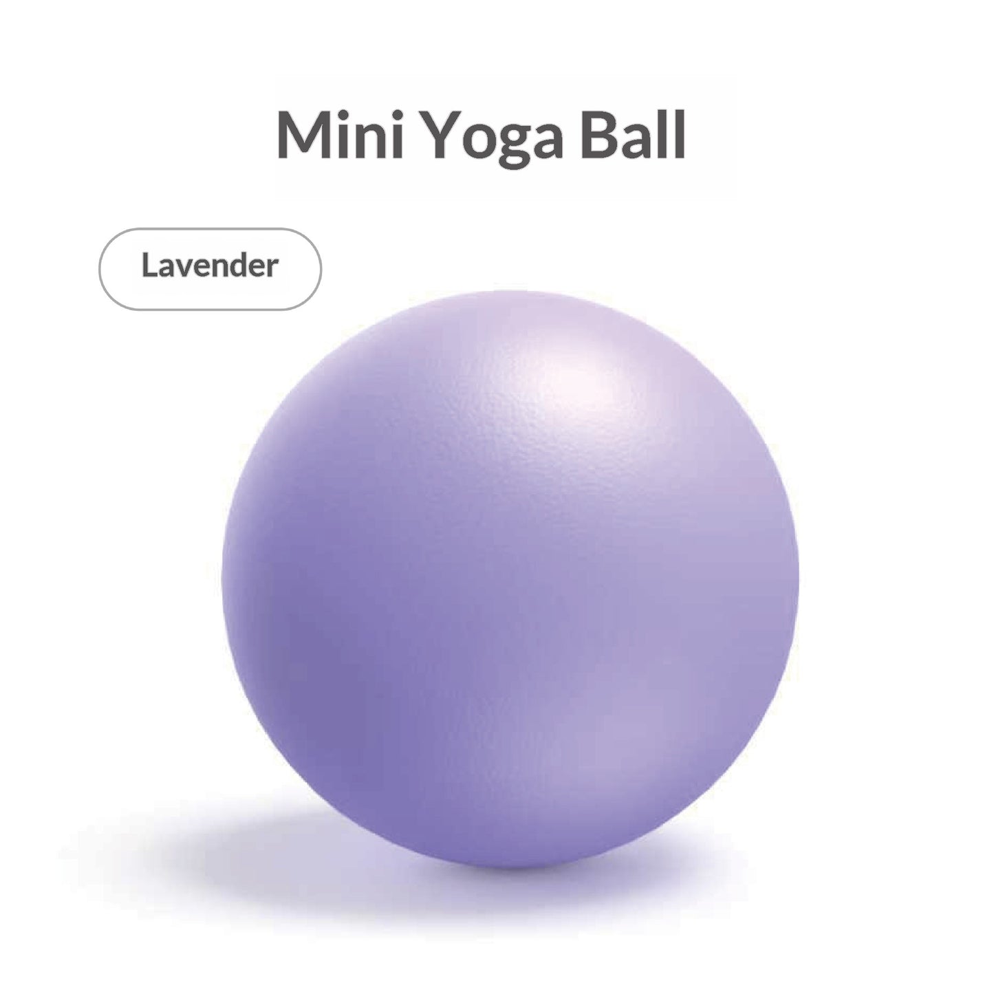 Pilates Mini Exercise Ball 25cm