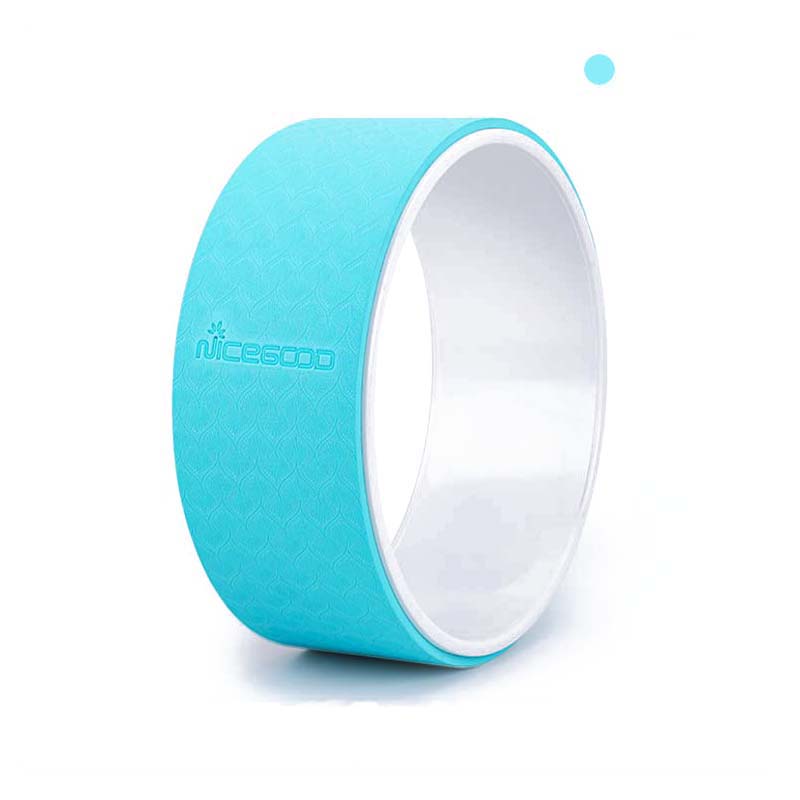 Beginner Yoga Pilates Ring Set