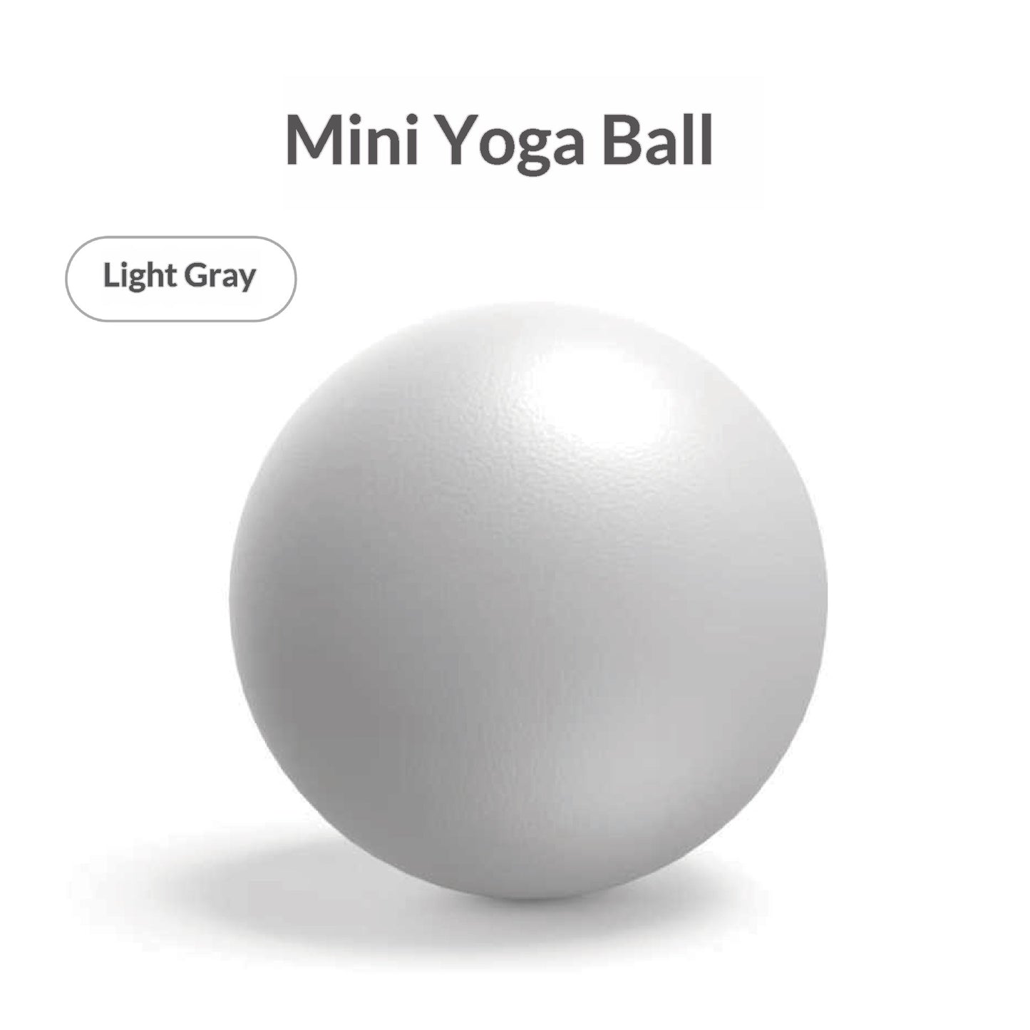 Pilates Mini Exercise Ball 25cm