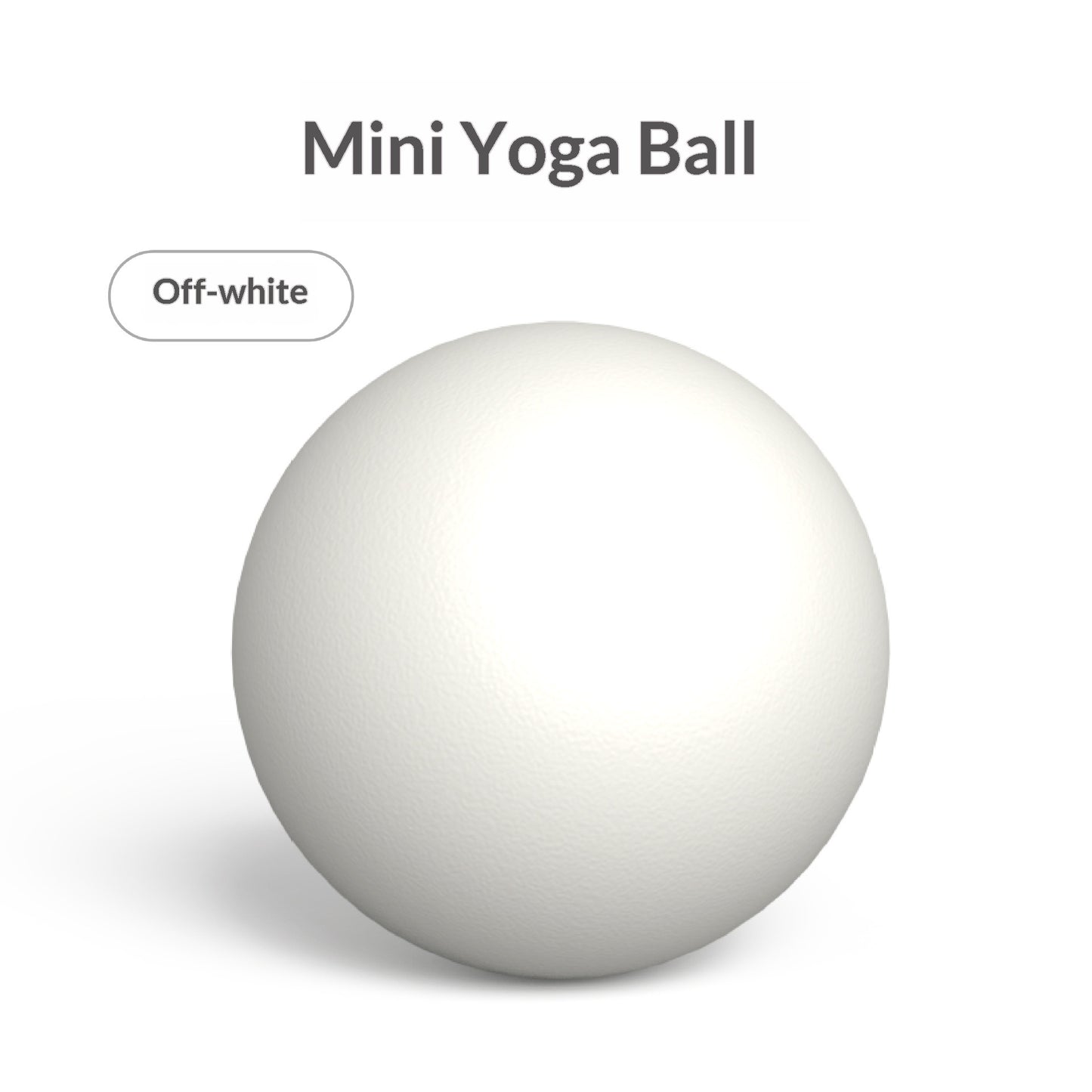 Pilates Mini Exercise Ball 25cm